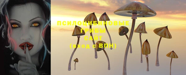 кристаллы Белокуриха