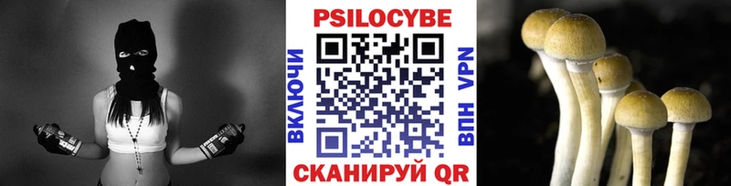 Псилоцибиновые грибы мицелий  Обь 